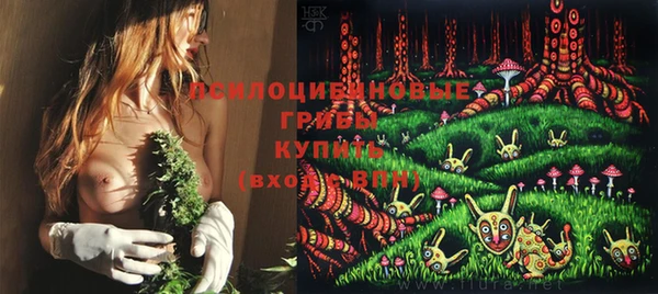 эйфоретик Алексин